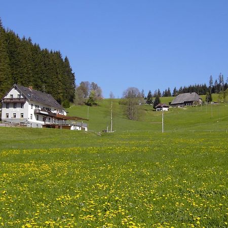 Gasthaus Pension Donishausle Titisee-Neustadt Εξωτερικό φωτογραφία