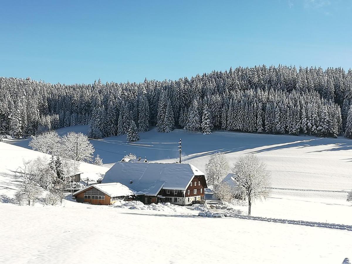 Gasthaus Pension Donishausle Titisee-Neustadt Εξωτερικό φωτογραφία