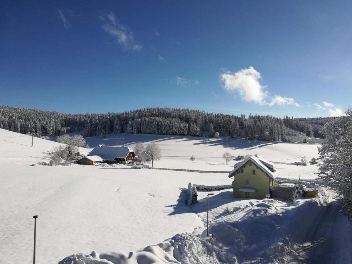 Gasthaus Pension Donishausle Titisee-Neustadt Εξωτερικό φωτογραφία