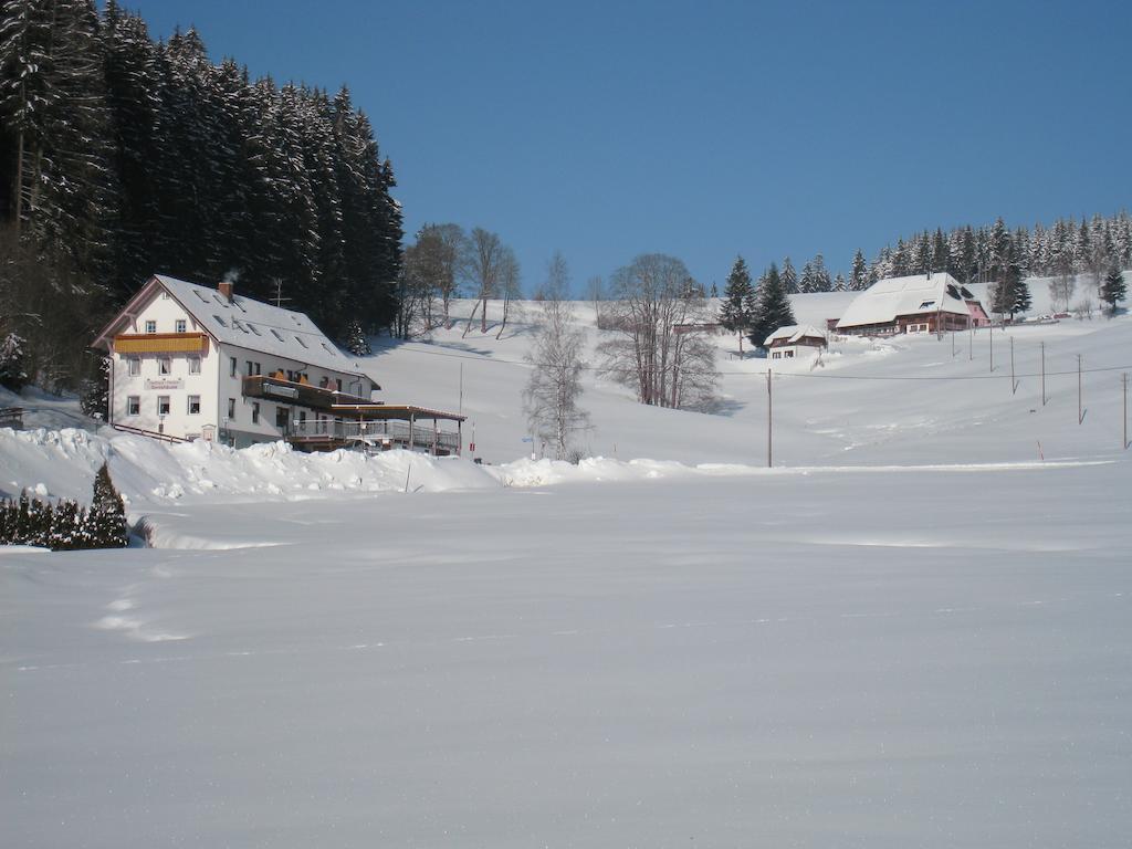 Gasthaus Pension Donishausle Titisee-Neustadt Εξωτερικό φωτογραφία