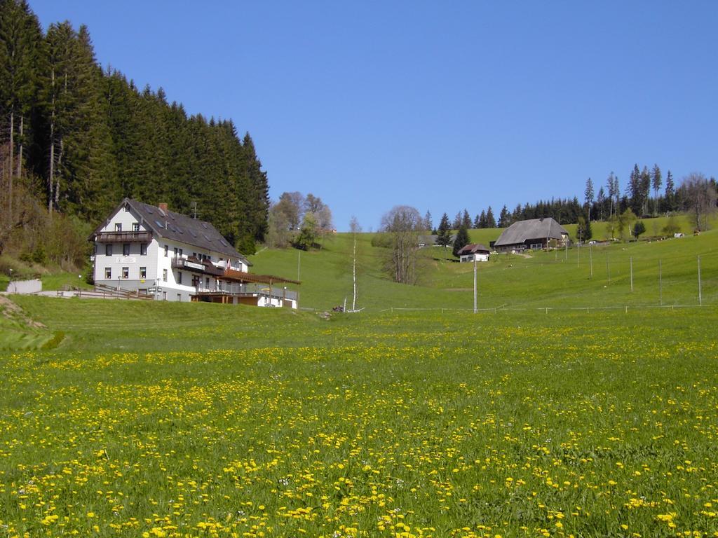 Gasthaus Pension Donishausle Titisee-Neustadt Εξωτερικό φωτογραφία